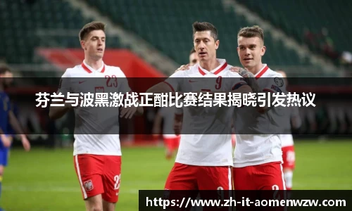 芬兰与波黑激战正酣比赛结果揭晓引发热议